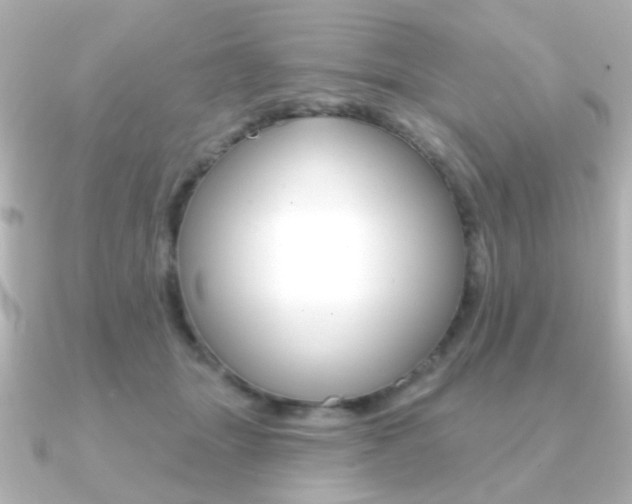 X0000091190463200708091025