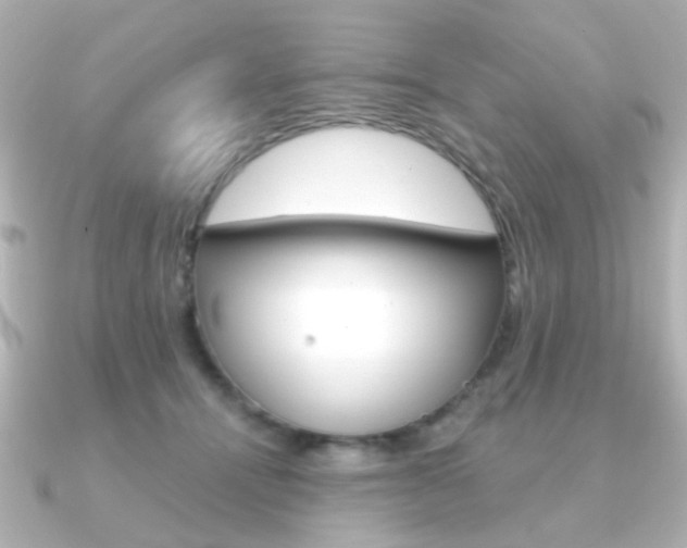 X0000091190464200708091025