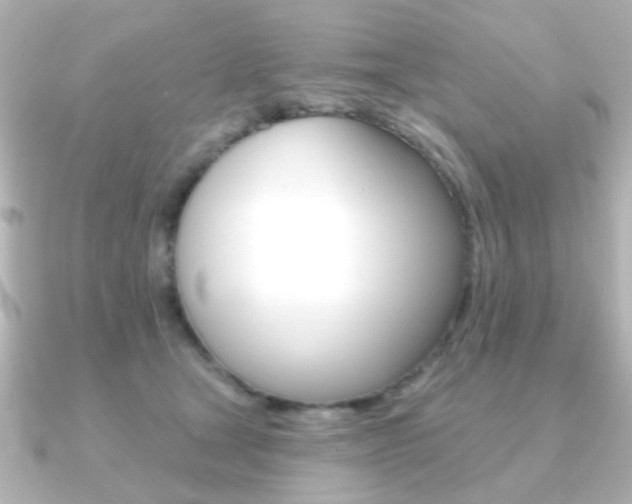 X0000091190465200708091025
