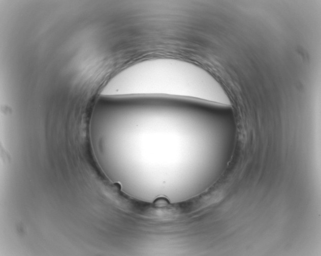 X0000091190466200708091025