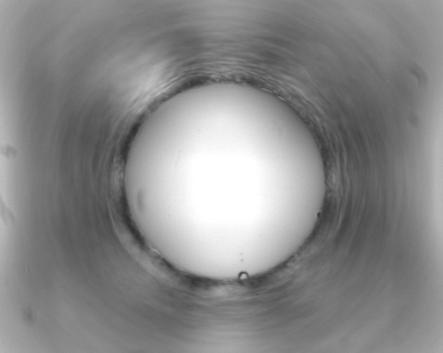 X0000091190468200708091025