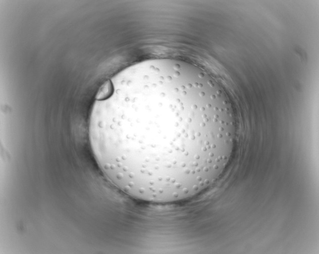 X0000091190469200708091025