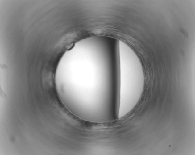 X0000091190470200708091025