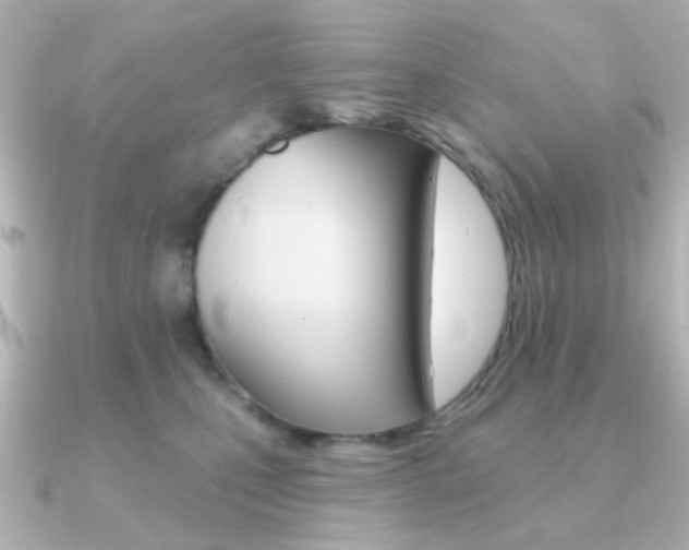 X0000091190471200708091025
