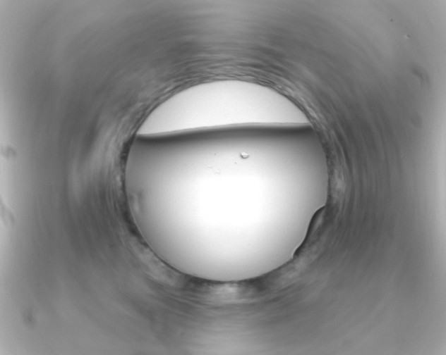 X0000091190473200708091025