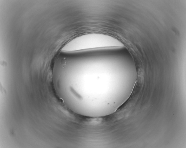 X0000091190474200708091025
