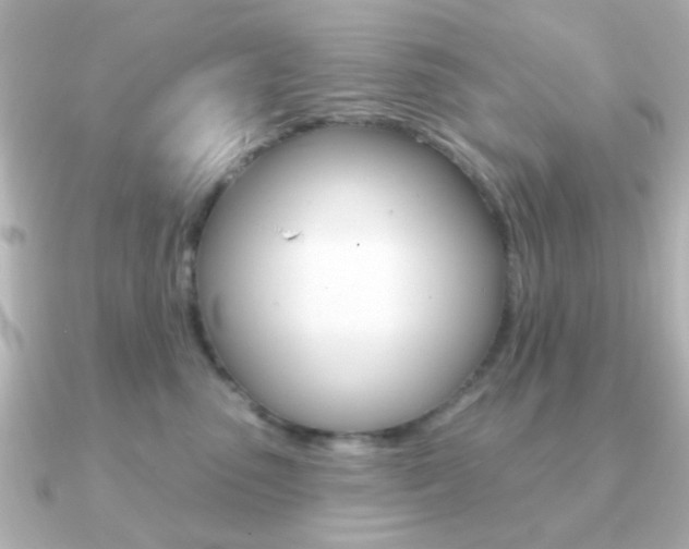 X0000091190475200708091025