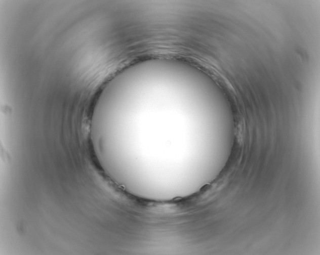 X0000091190476200708091025