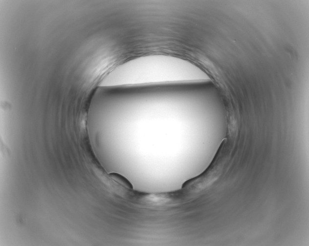 X0000091190477200708091025