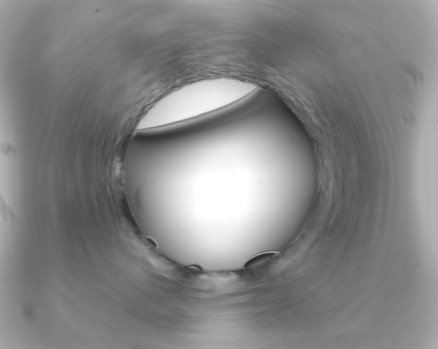 X0000091190480200708091025