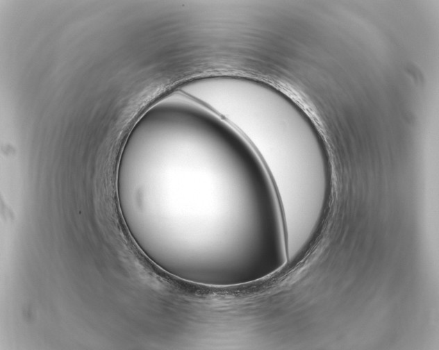 X0000091190481200708091025