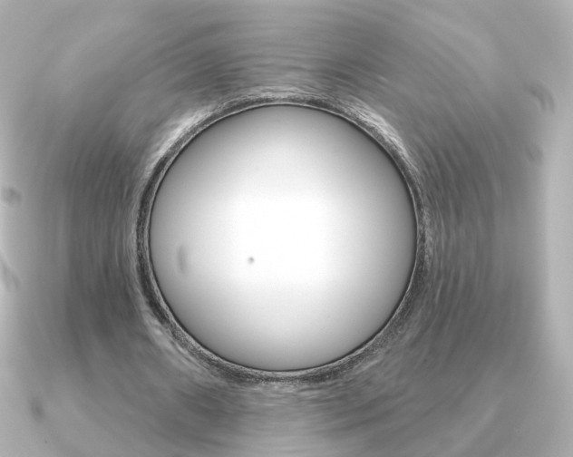 X0000091190482200708091025