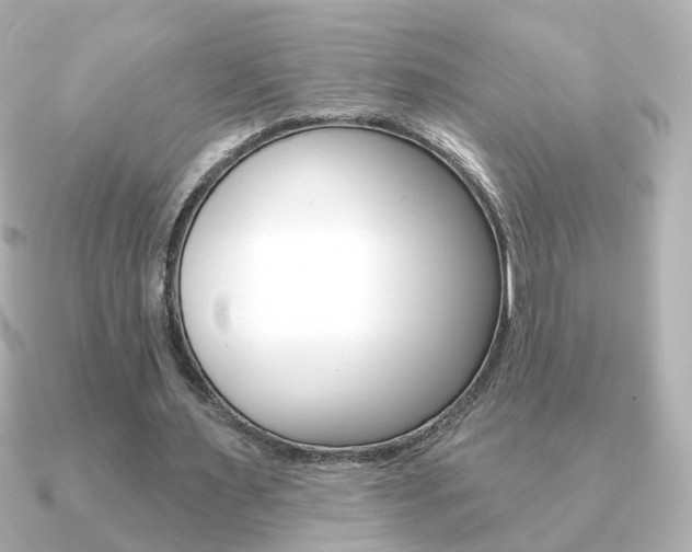 X0000091190483200708091025