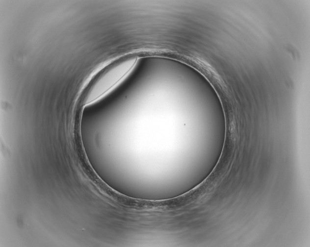 X0000091190484200708091025