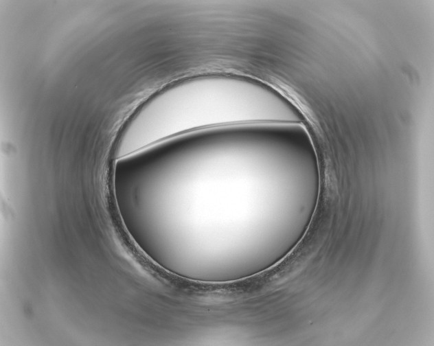 X0000091190485200708091025