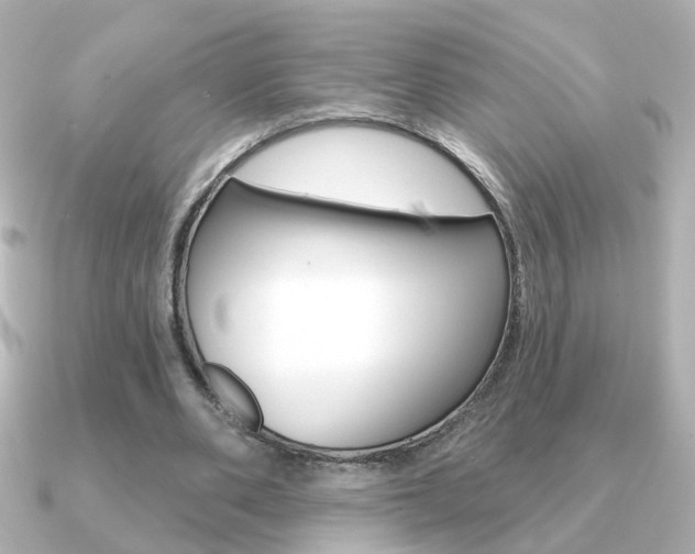 X0000091190486200708091025