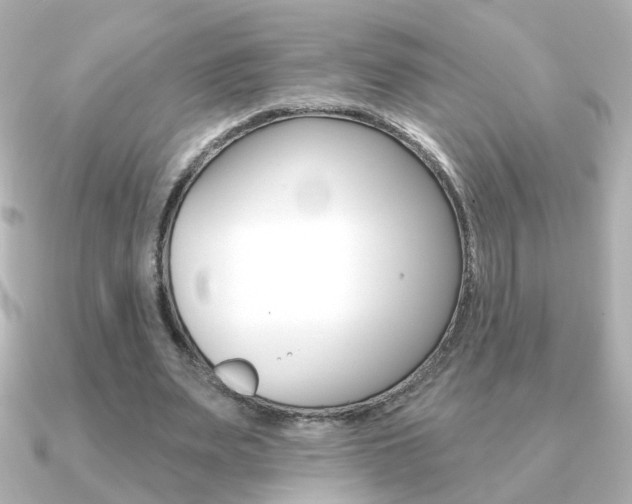X0000091190487200708091025