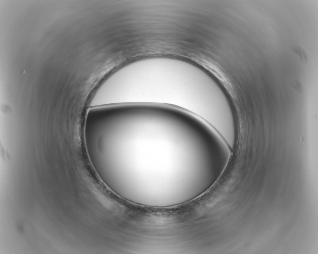 X0000091190489200708091025