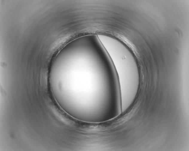 X0000091190493200708091025