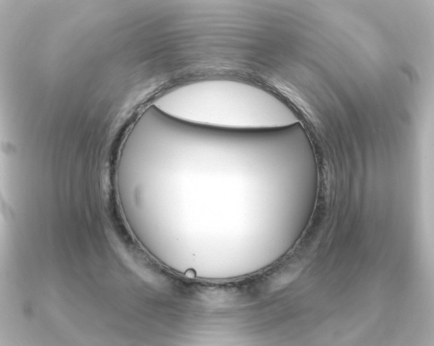 X0000091190494200708091025