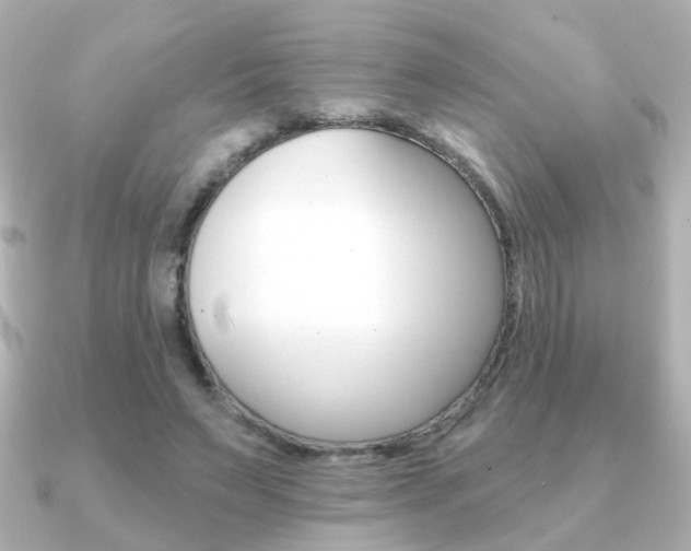 X0000091190495200708091025