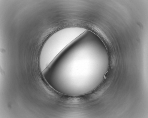 X0000091190497200708091025