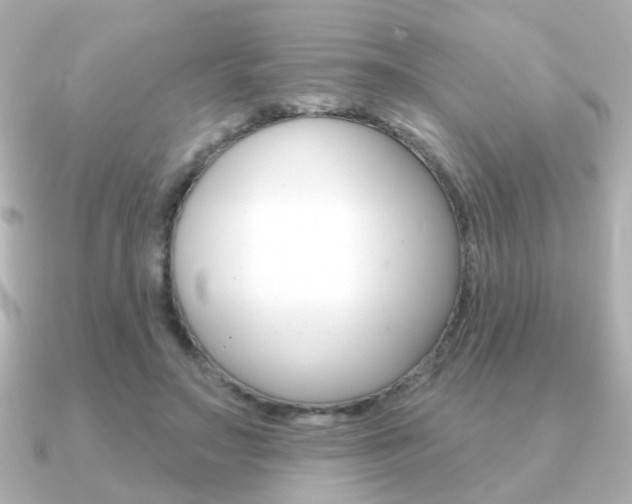 X0000091190499200708091025