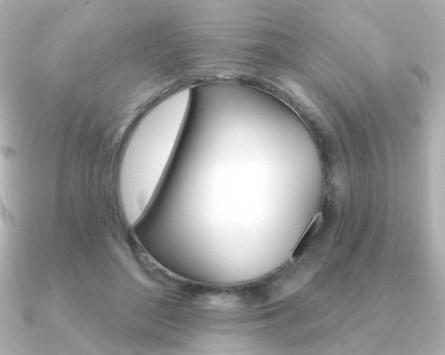 X0000091190500200708091025