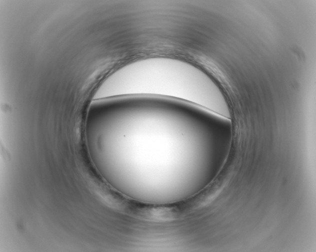 X0000091190501200708091025