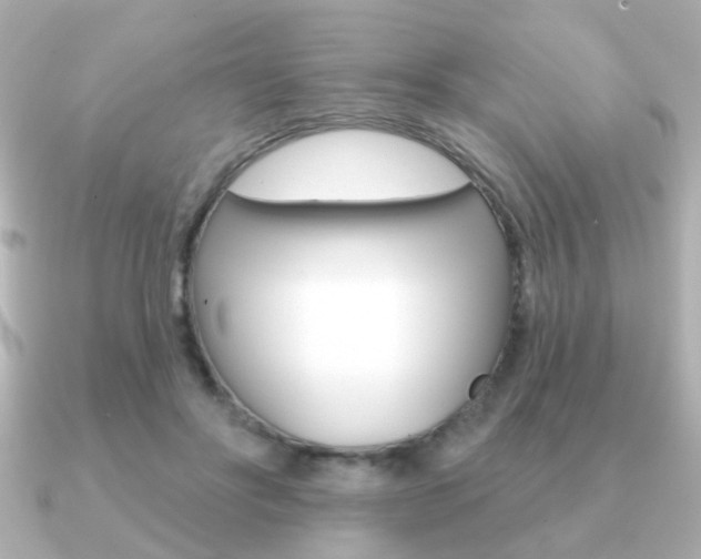 X0000091190502200708091025
