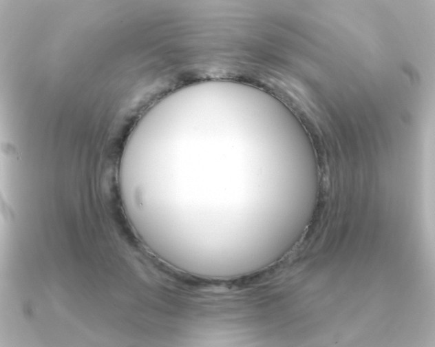 X0000091190503200708091025