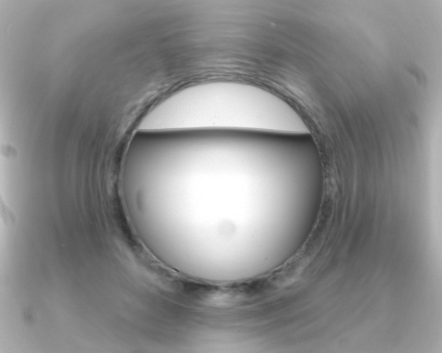 X0000091190504200708091025