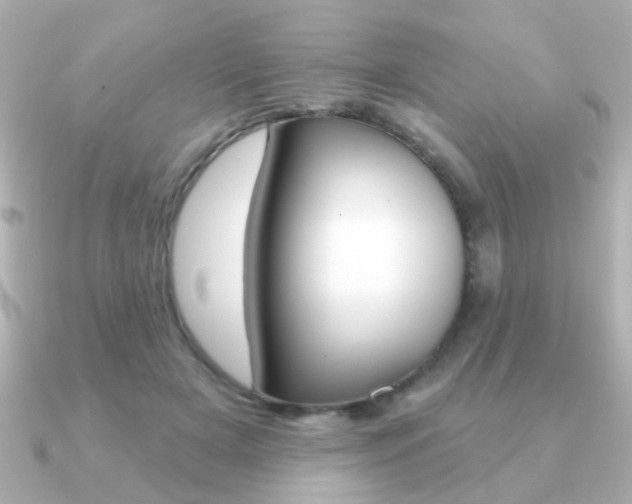 X0000091190505200708091025