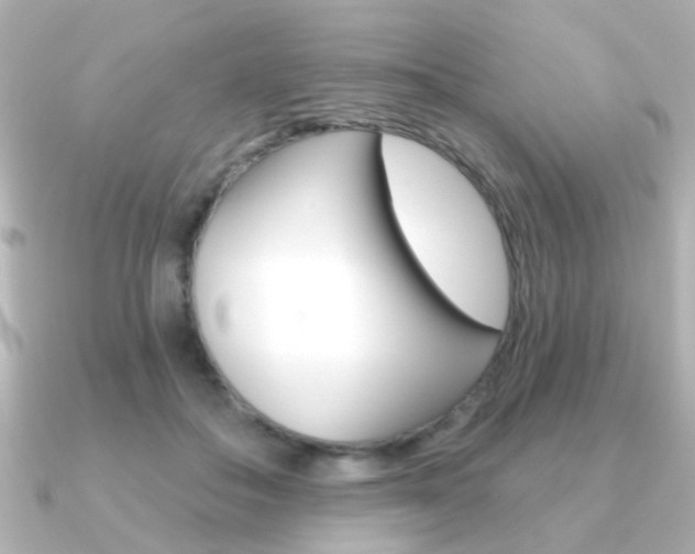 X0000091190506200708091025