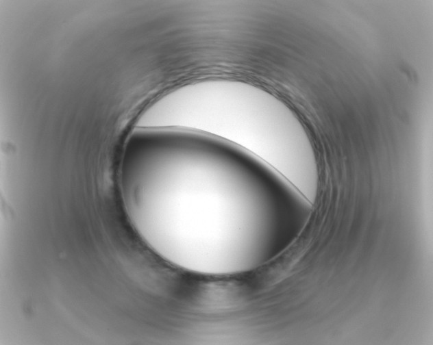 X0000091190508200708091025