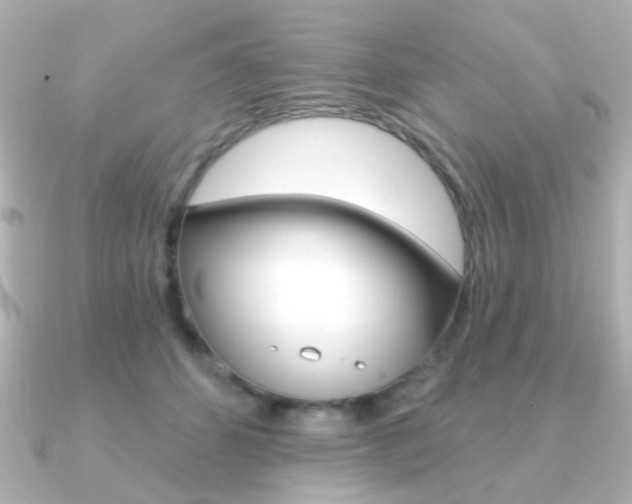 X0000091190512200708091024