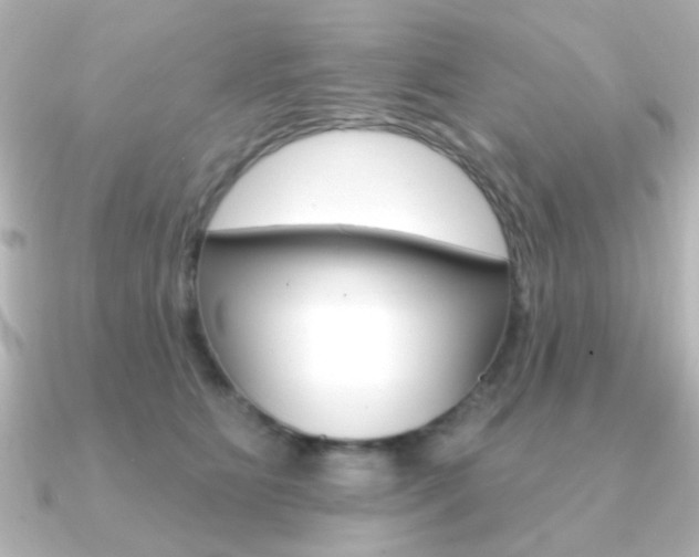 X0000091190515200708091024