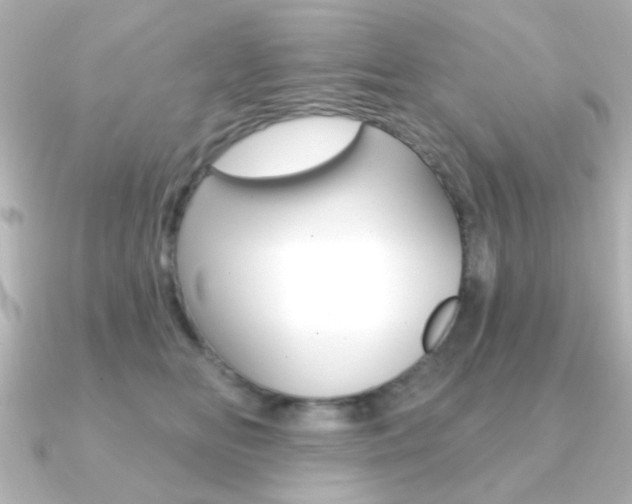 X0000091190518200708091024
