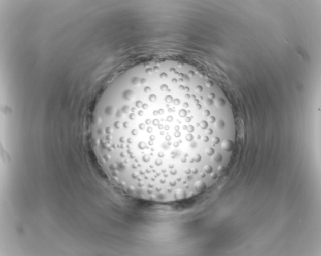 X0000091190519200708091024