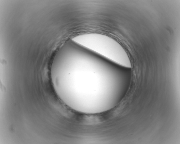 X0000091190520200708091024