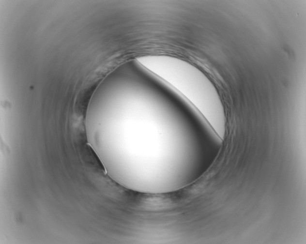 X0000091190521200708091024