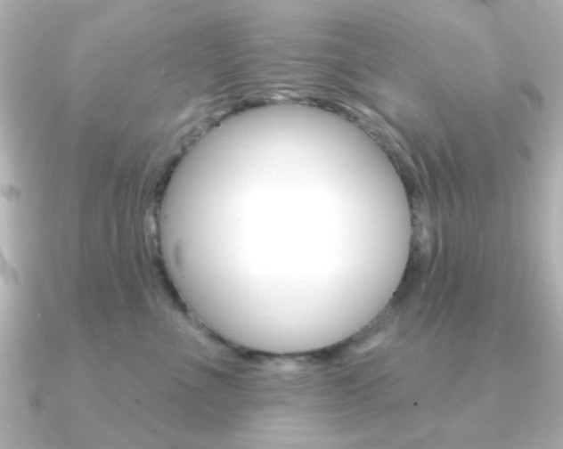 X0000091190523200708091024