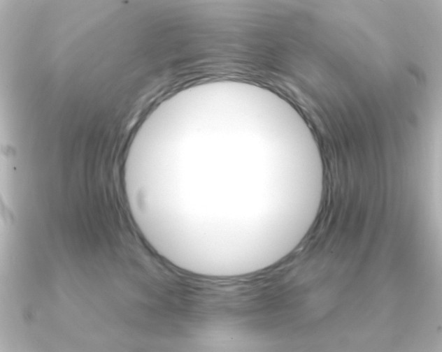 X0000091190524200708091024