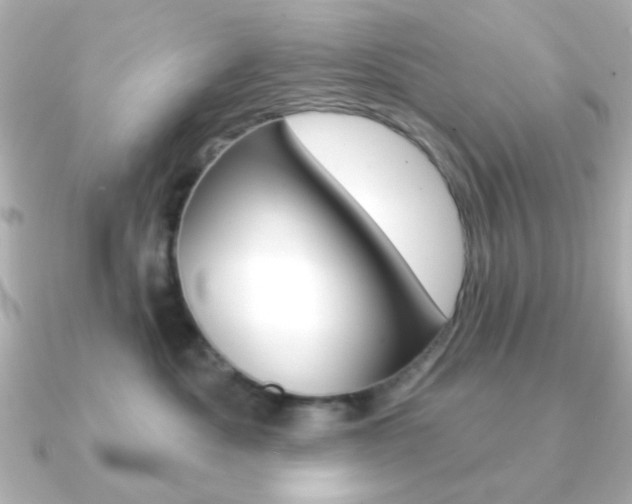 X0000091190525200708091024