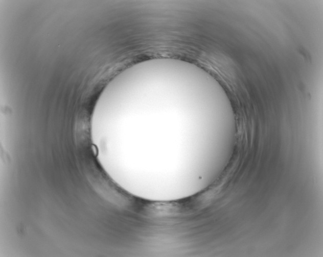 X0000091190526200708091024