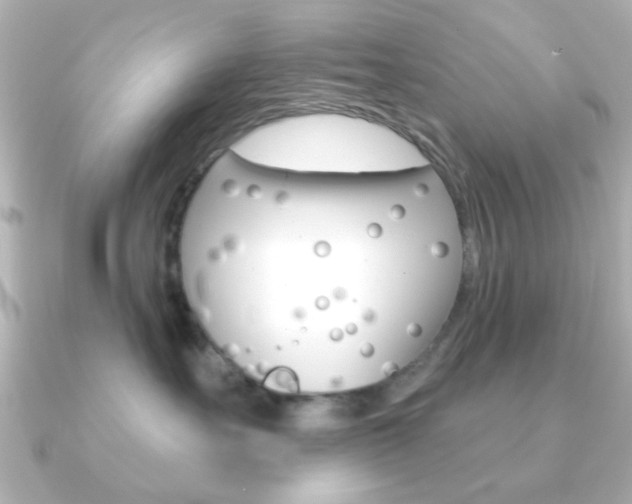 X0000091190527200708091024