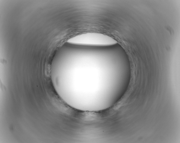 X0000091190528200708091024