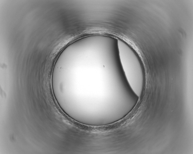 X0000091190529200708091024