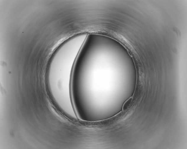 X0000091190530200708091024