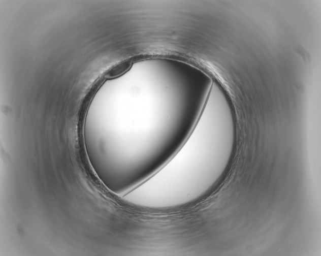 X0000091190531200708091024